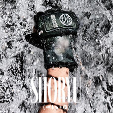 SHORYU (→↓↘+P)